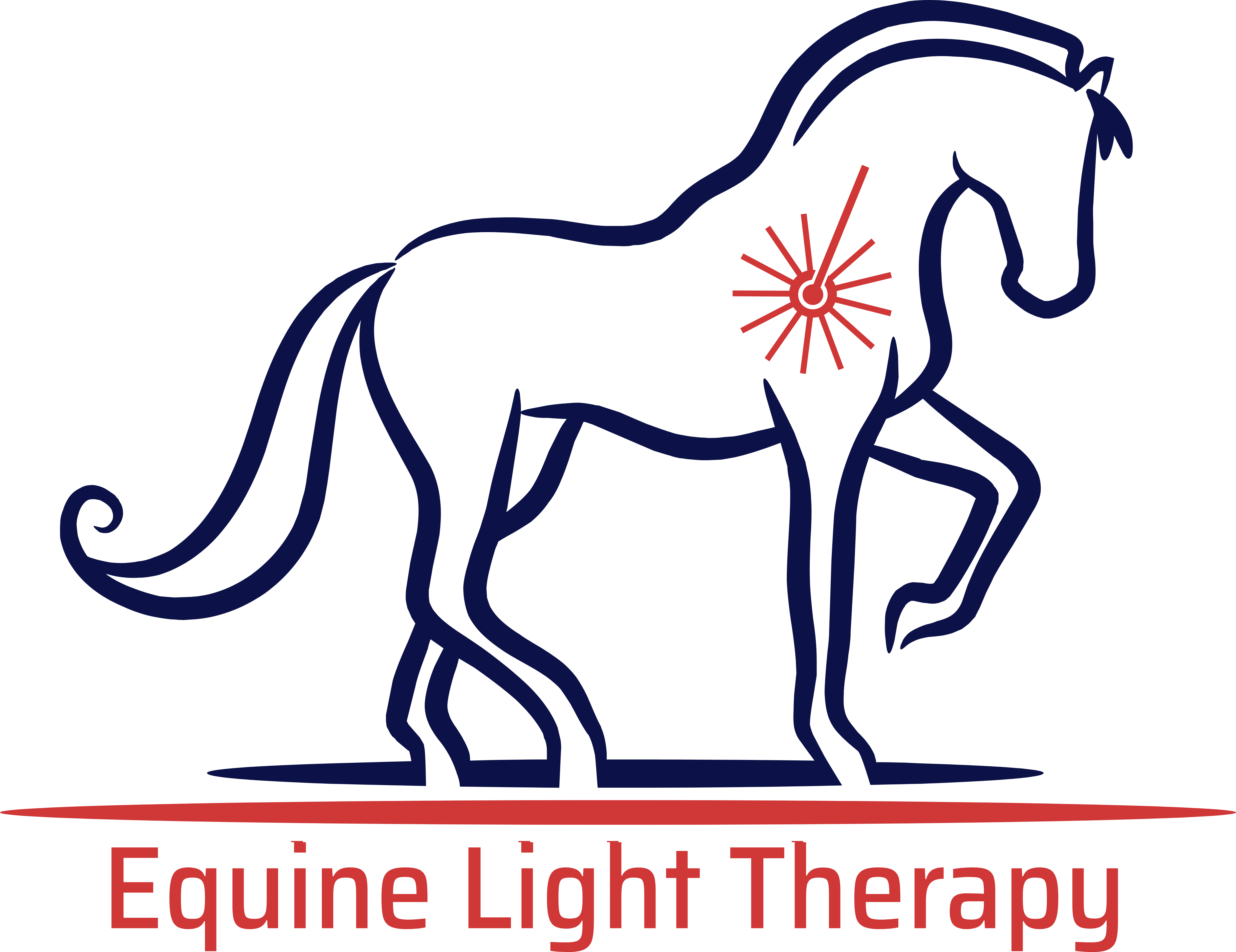Equine Light Therapy