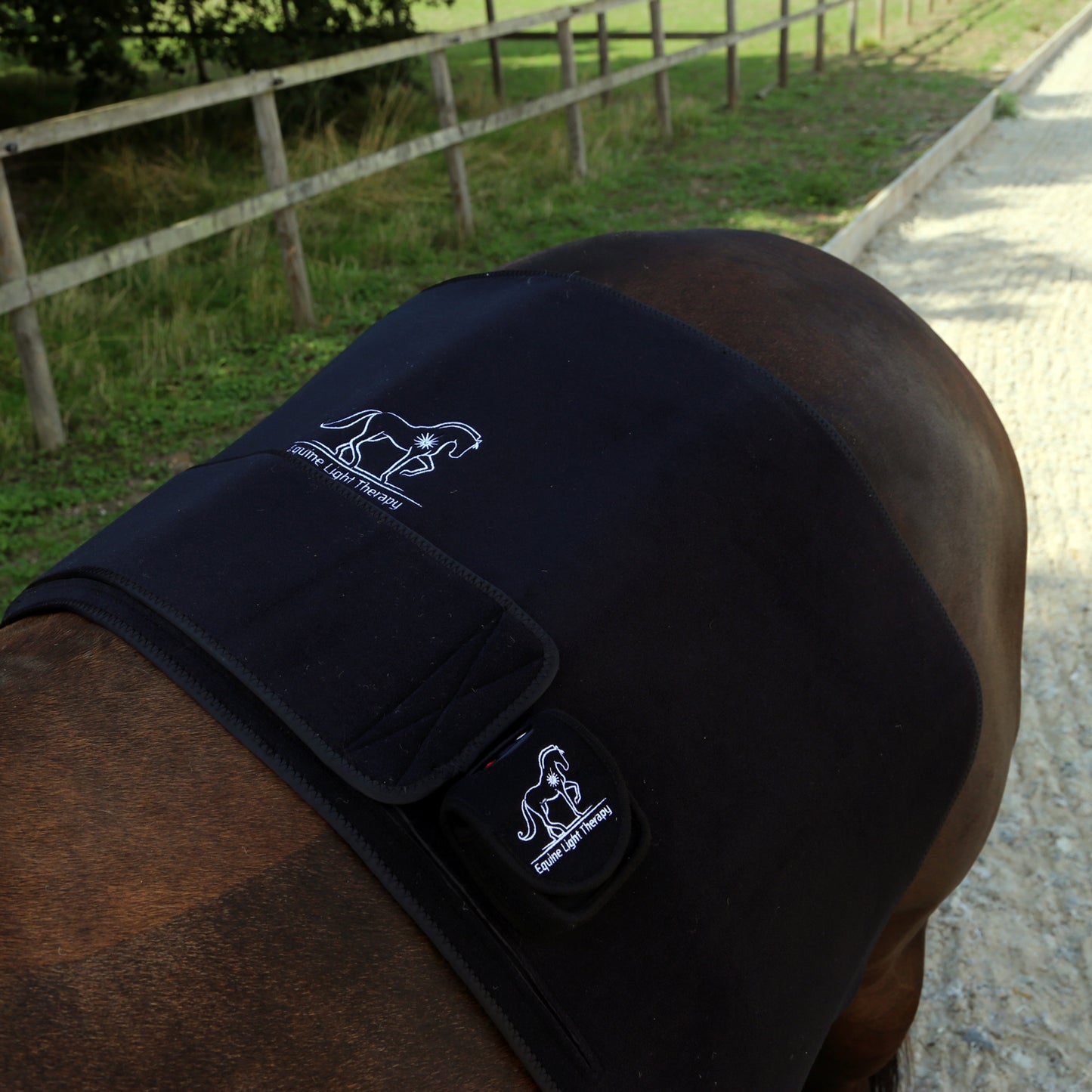 Infra Red Back Pad