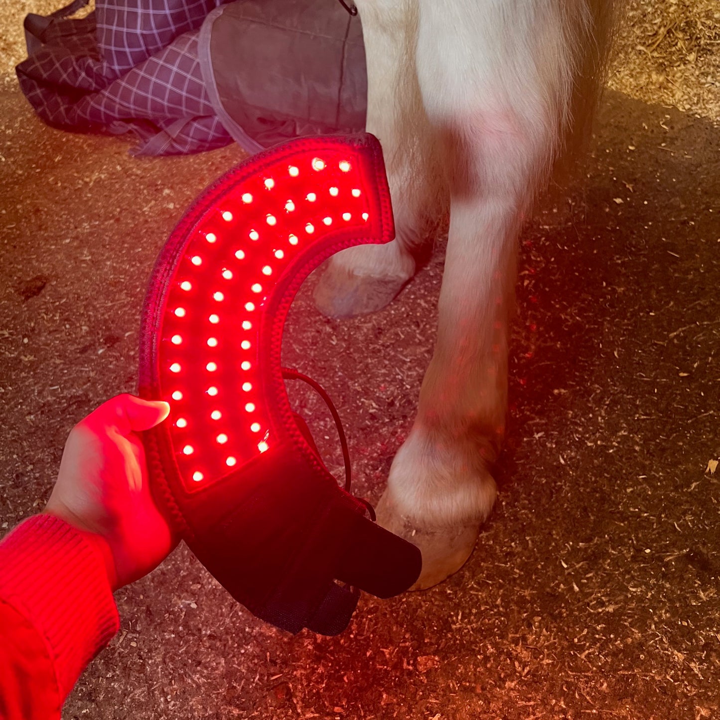 Infra Red Hoof Pad Kit